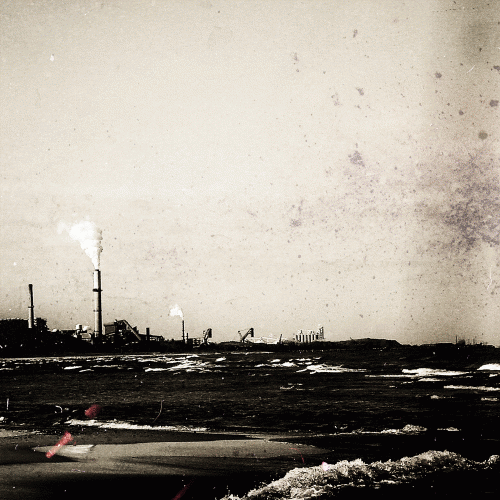 Shy, Low : Binary Opposition Shy, Low : Binary Opposition